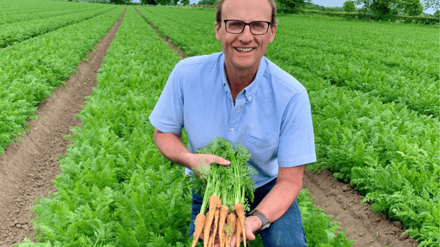 Decrease in growers of UK’s favourite vegetable due to tight margins