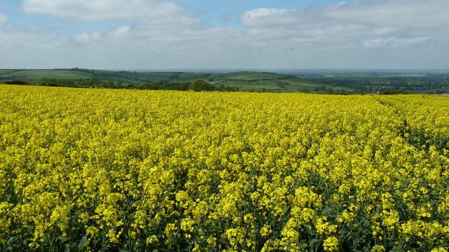 AHDB welcomes 8 new cereals and oilseeds Monitor Farms