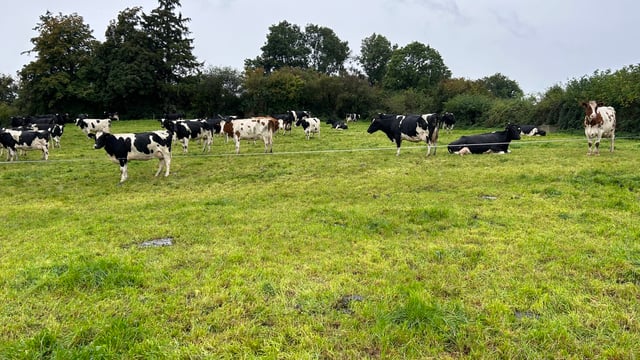 Challenge with grazing continues across the country