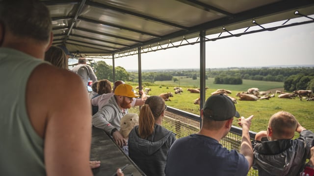 Open Farm Sunday presents ‘huge opportunity’ for participating farmers