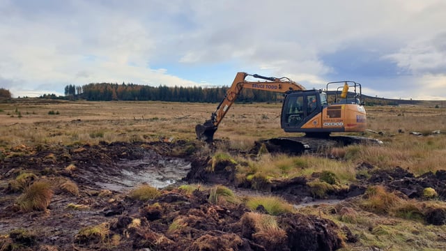 Scotland: 10,000ha of peatland set as part of rewetting journey