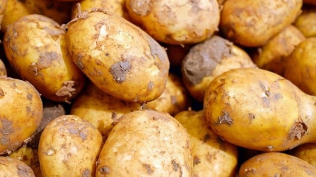 ‘Access to quality land is diminishing’ – GB Potatoes chair