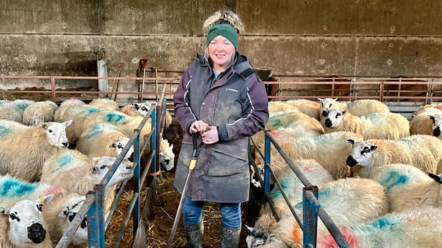 HCC celebrates women in red meat production ahead of Women’s Day