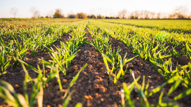 University to host screening for new farming documentary