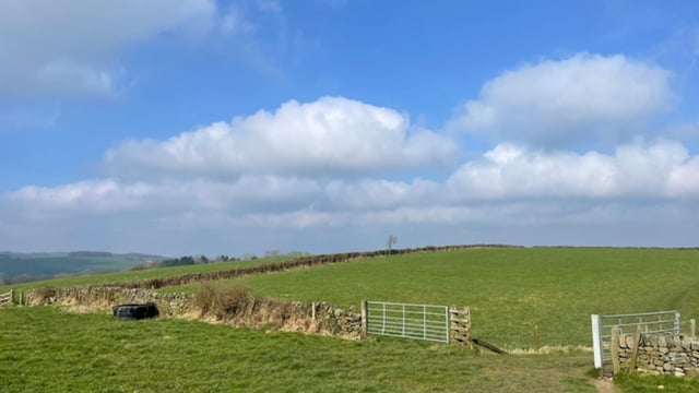Derbyshire Wildlife Trust purchase Common Farm for rewilding purposes