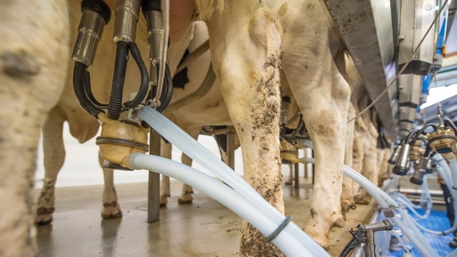 GDT price index records increase at latest event
