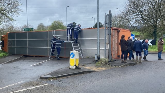 Shropshire: Vets and farmers rescue 33 cattle from overturned lorry