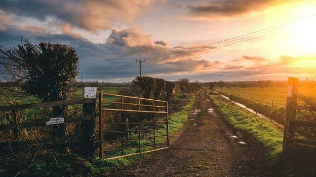 UFU brings consumers ‘behind the farm gate’ for beef week