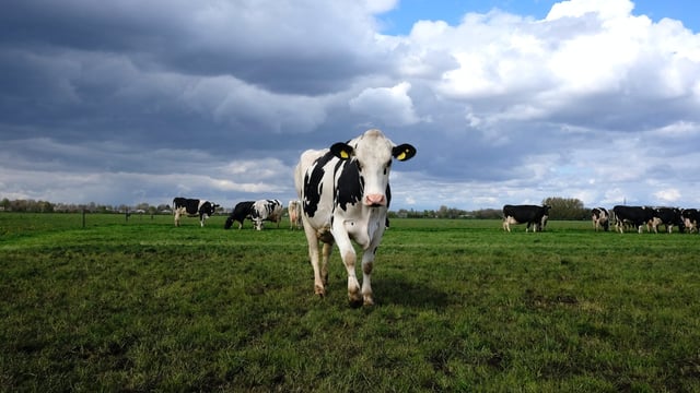 M&S UK aims to achieve its ‘Net Zero’ goals by 2040