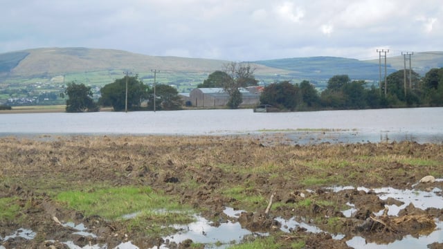 Scientists: Ireland and UK face ‘a wetter, damper and mouldier future’