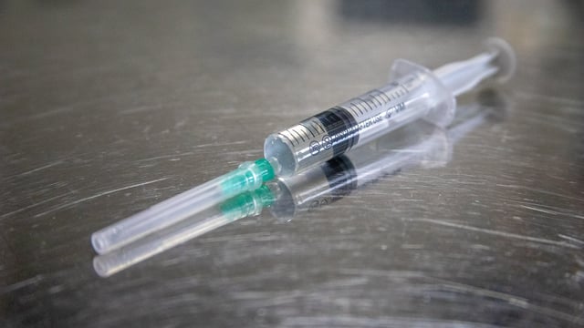 Injectable medicines for dogs and horses seized in Belfast