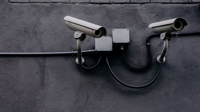 Mandatory CCTV is a ‘big step forward’ for animal welfare -BVA