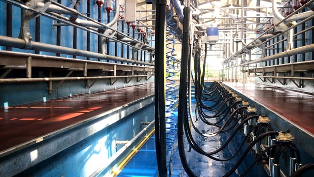Milking parlour: Is it time to change your liners?