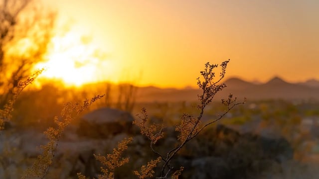 April 2024 hottest on record globally