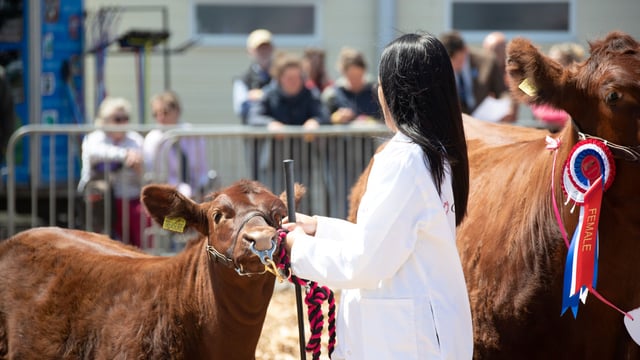 Royal Bath & West Show to feature ‘wide range of livestock’