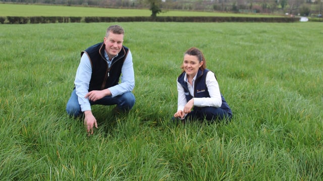 Protected urea sales continue to grow in Northern Ireland