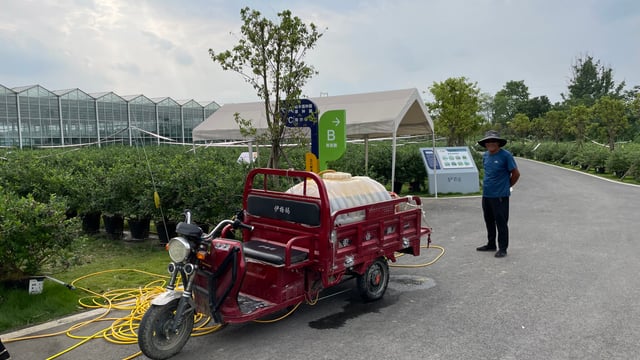 5,000ac blueberry farm in China yielding from 2-3t/ac