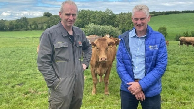CAFRE to host farm walk on Co. Tyrone suckler enterprise