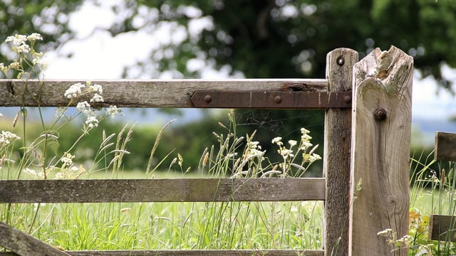 ‘Significant threat’ of protests by activists on NI farms – UFU