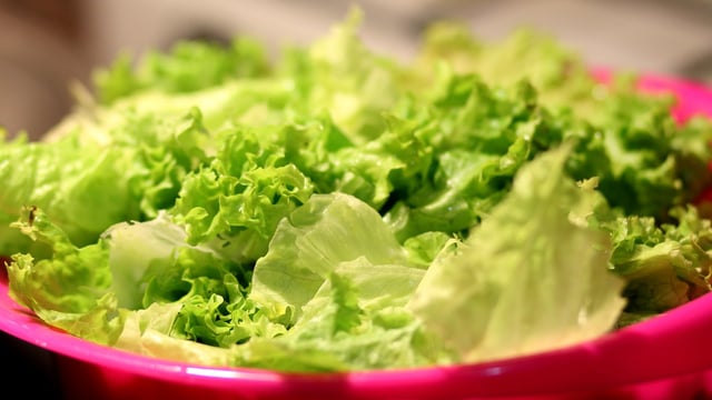 Person dies from E.coli from a ‘type of lettuce used in sandwiches’