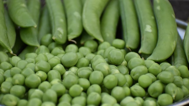 Great British Pea Week to return for a ninth year