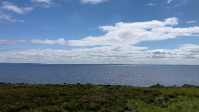 Report: Some people blame ‘slurry-pollution problem’ for Lough Neagh algae crisis