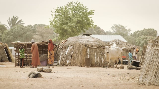 One in 11 people globally faced hunger in 2023 – UN