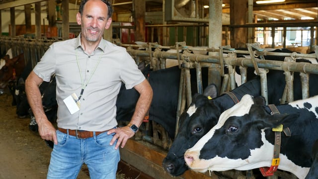 Farm Focus: 600-day lactation at multifaceted German farm