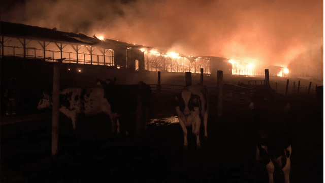 13-year-old girl charged with barn fire in Scottish Highlands