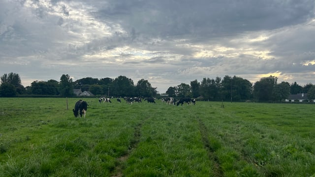 Autumn grazing: Building covers to achieve extra days at grass