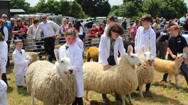 Opinion: No show like an agri show in Northern Ireland