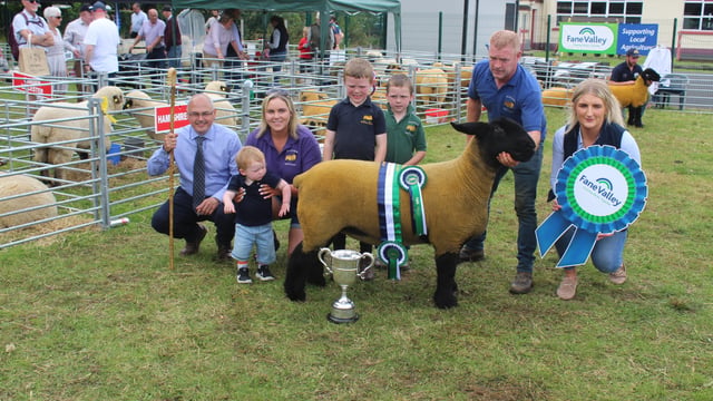 Young Simmental bull carries the day at Clogher Valley Show 2024