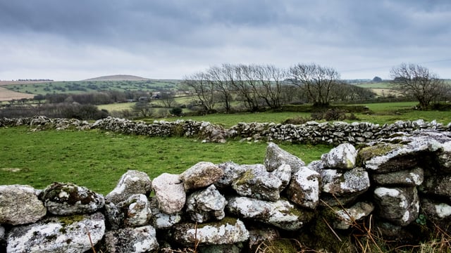 Cost of rural crime in Northern Ireland falls by over 20% – report
