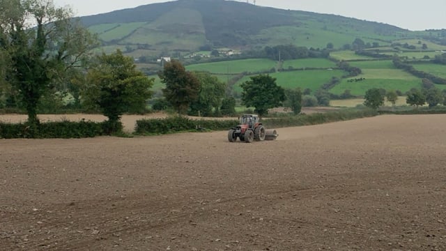 Advice and tips for a good autumn reseed establishment