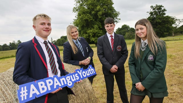 NI teenagers invited to enter ABP’s ‘Angus Youth Challenge’