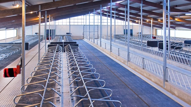Dairy advice: Preparing sheds, scrapers and cubicles for winter