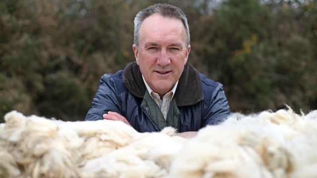 Wool prices set to remain strong following 20% increase
