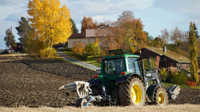 Autumn ploughing in Norway brings its own rewards