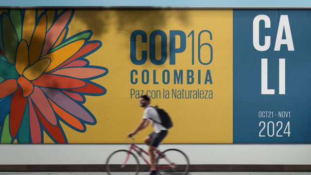 UK to kickstart new global efforts to protect and restore nature at COP16