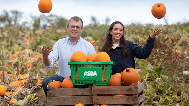 Growing pumpkins for the Halloween market in Armagh