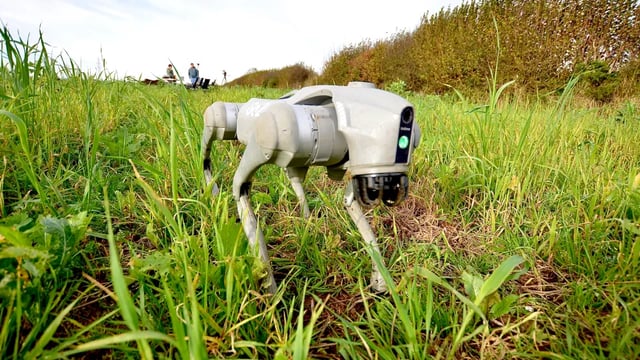 Robot dog deployed in Cornwall soil health trial