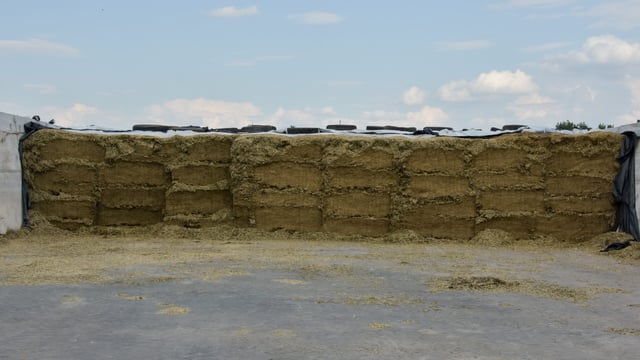 Minimising waste from your silage pit this winter