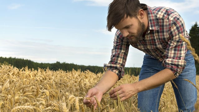 Report on farm-level environmental data sharing published