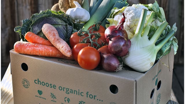 Environmental groups call for more organic farms in England
