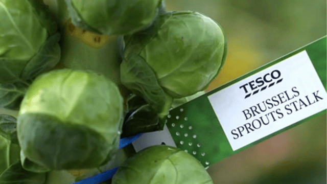 Brussel sprouts hit a growth spurt this Christmas – Tesco