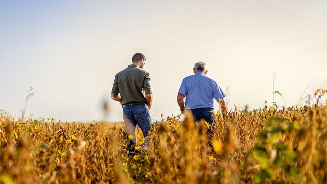 Half of NI farms impacted by inheritance tax changes – DAERA