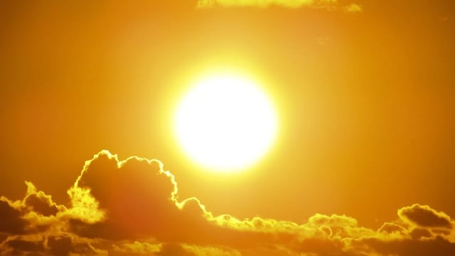 Copernicus: 2024 expected to be ‘warmest year’ to date