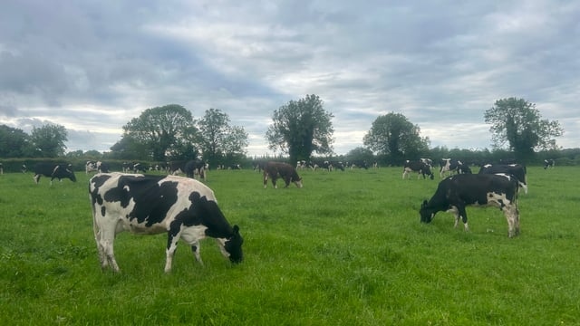 Survey launched in NI for renewable energy generation on dairy farms