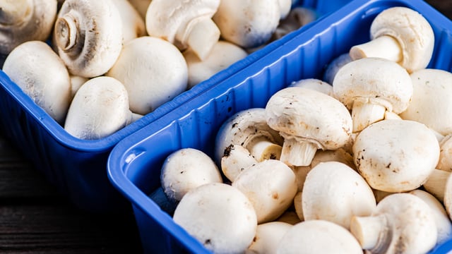 Mushroom growers urge NI Executive to protect support scheme