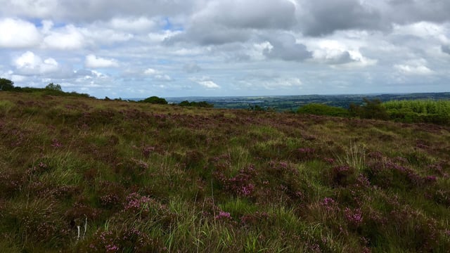 ‘Scrapping the ANC scheme would damage rural areas in Northern Ireland’